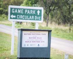 The tourist attractions in the area are several activities to do such as game viewing, hiking, horse riding, and more. Many dams in the park have also